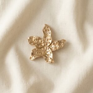 Accesorio removible estrellita